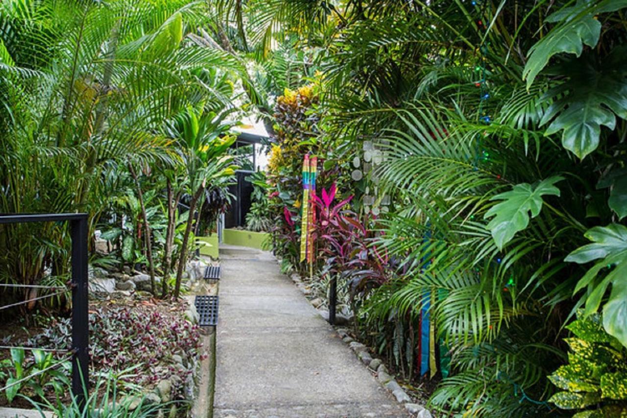 Tico Tico Villas - Adult Only Manuel Antonio Exterior foto